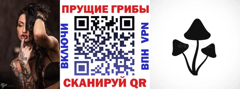 Псилоцибиновые грибы Cubensis  купить наркотик  Вилючинск 