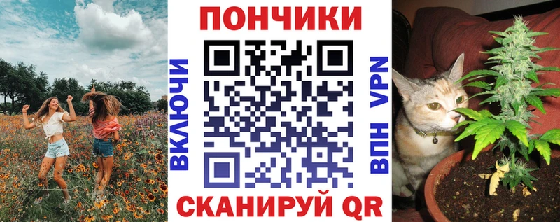 OMG ССЫЛКА  Вилючинск  Канабис OG Kush  купить наркотик 
